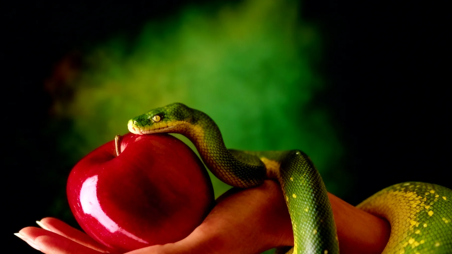 Forbidden Fruit2025-12-16T13:30:36.797Z"