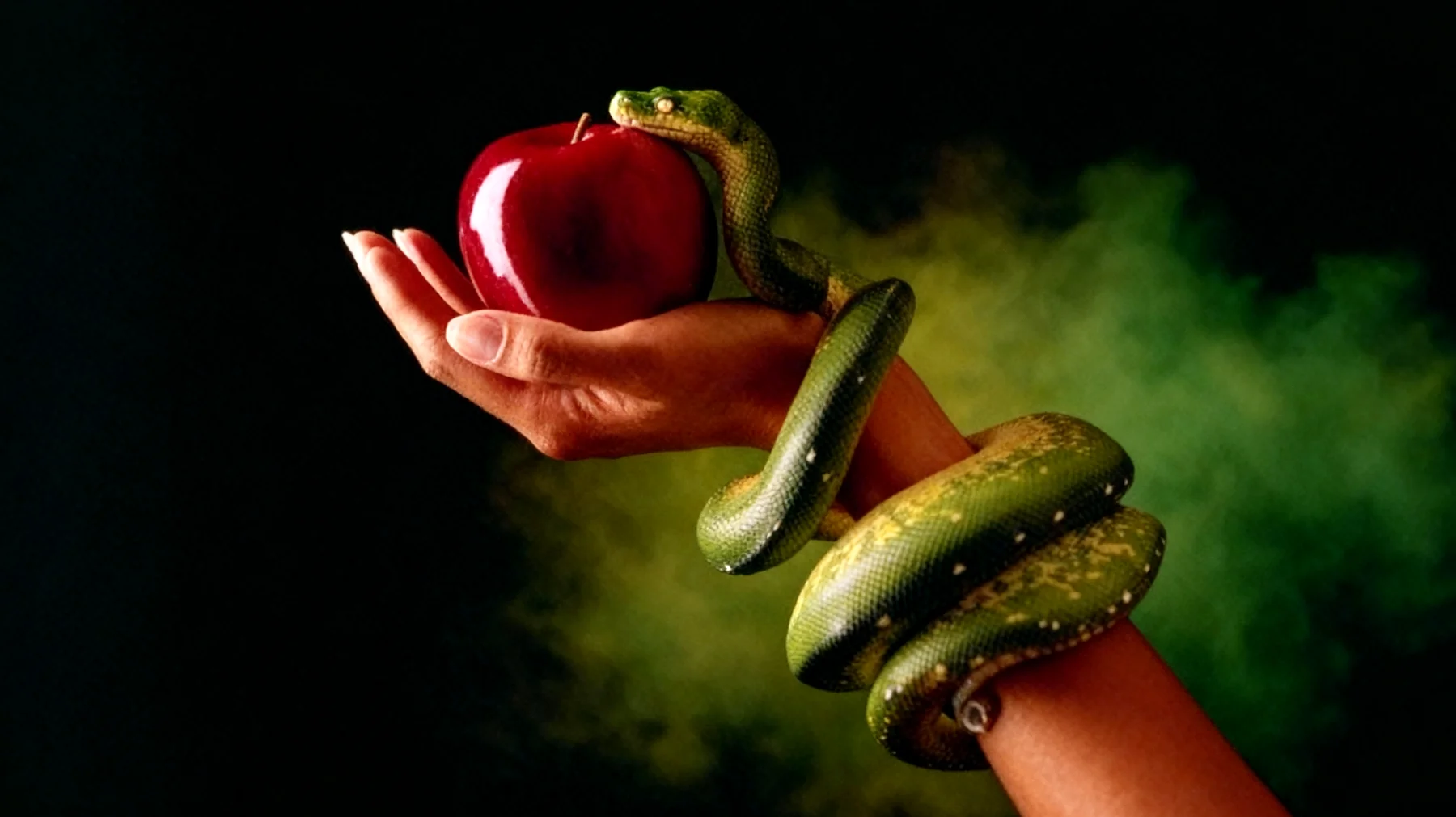 Forbidden Fruit2025-12-21T20:59:32.030Z"
