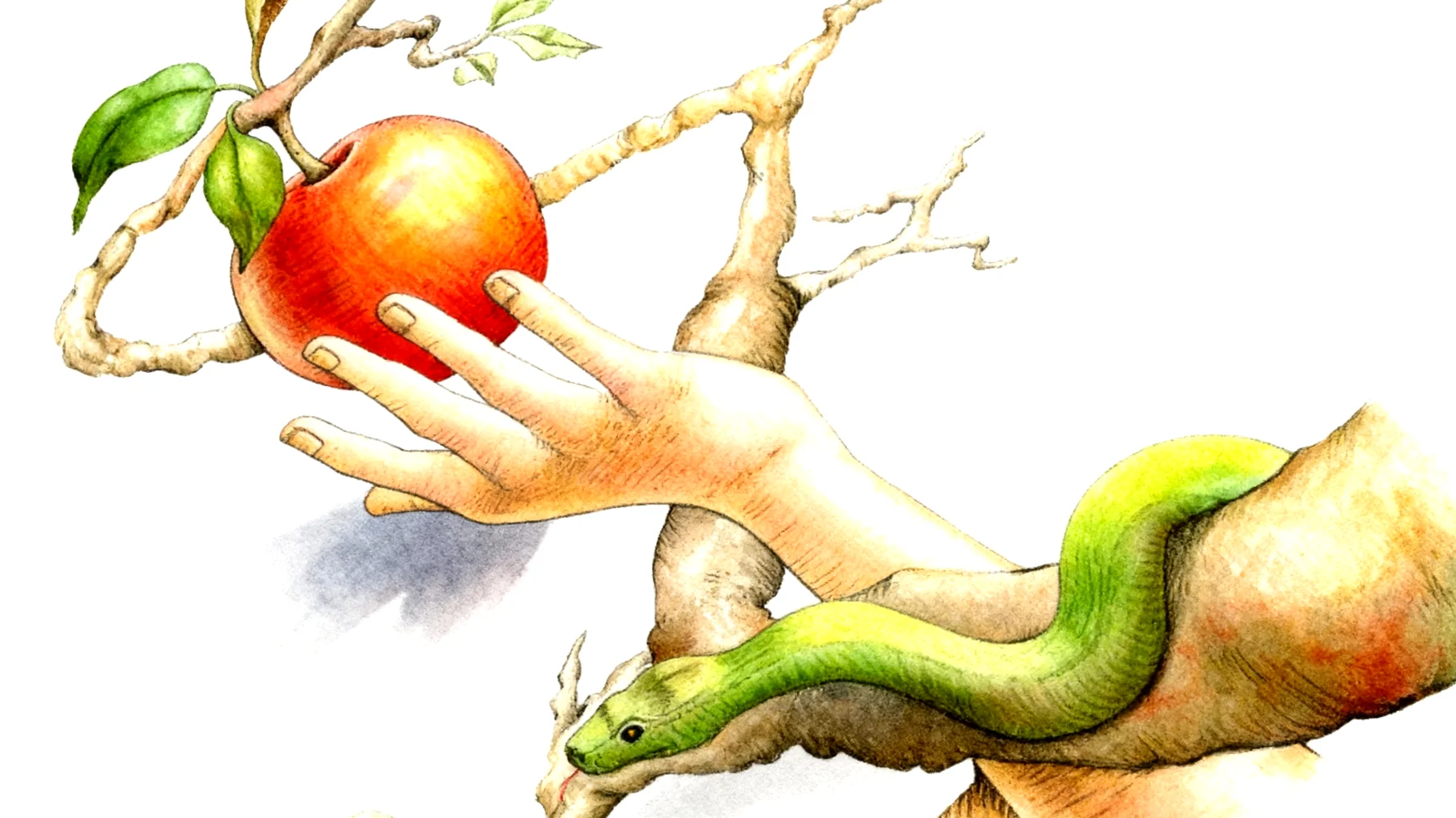 Forbidden Fruit2025-12-23T20:49:05.916Z"