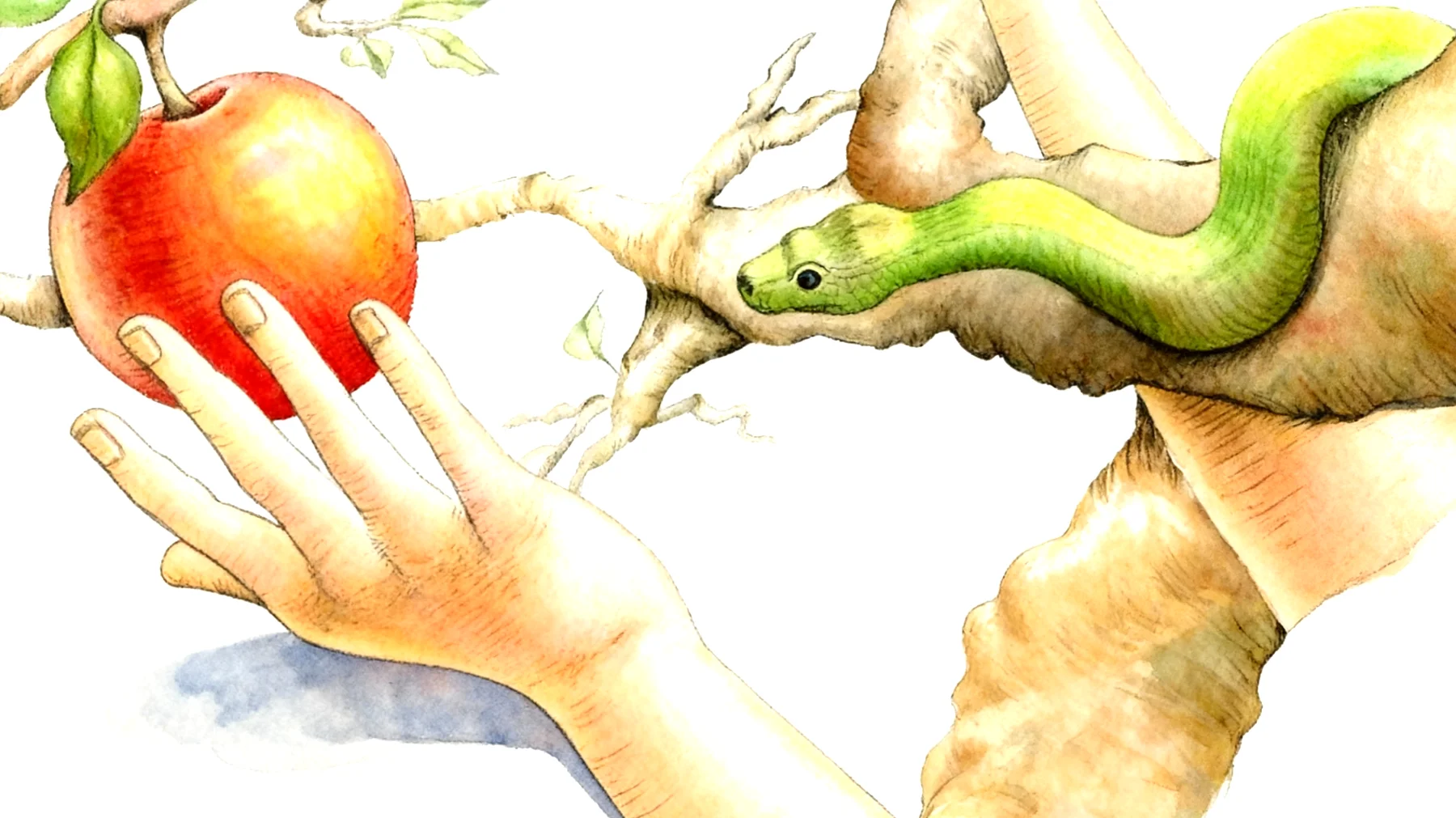 Forbidden Fruit2025-12-27T21:00:54.025Z"