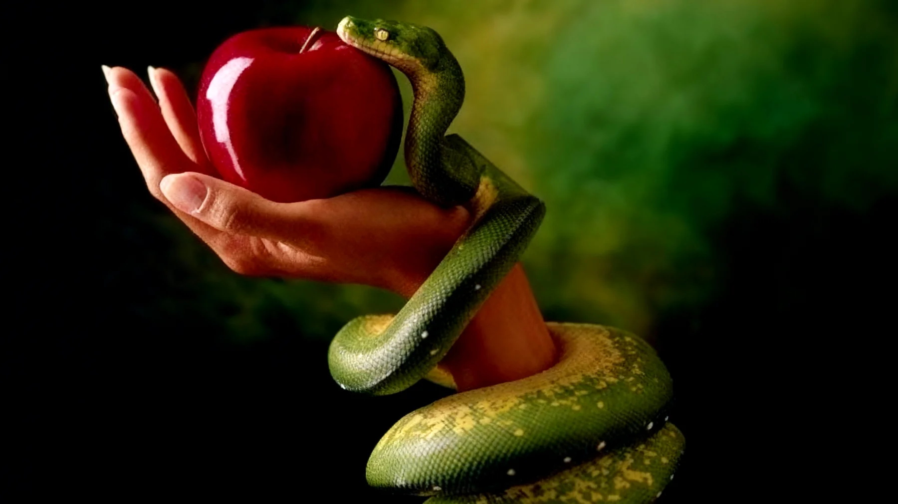 Forbidden Fruit2025-12-29T20:53:53.223Z"