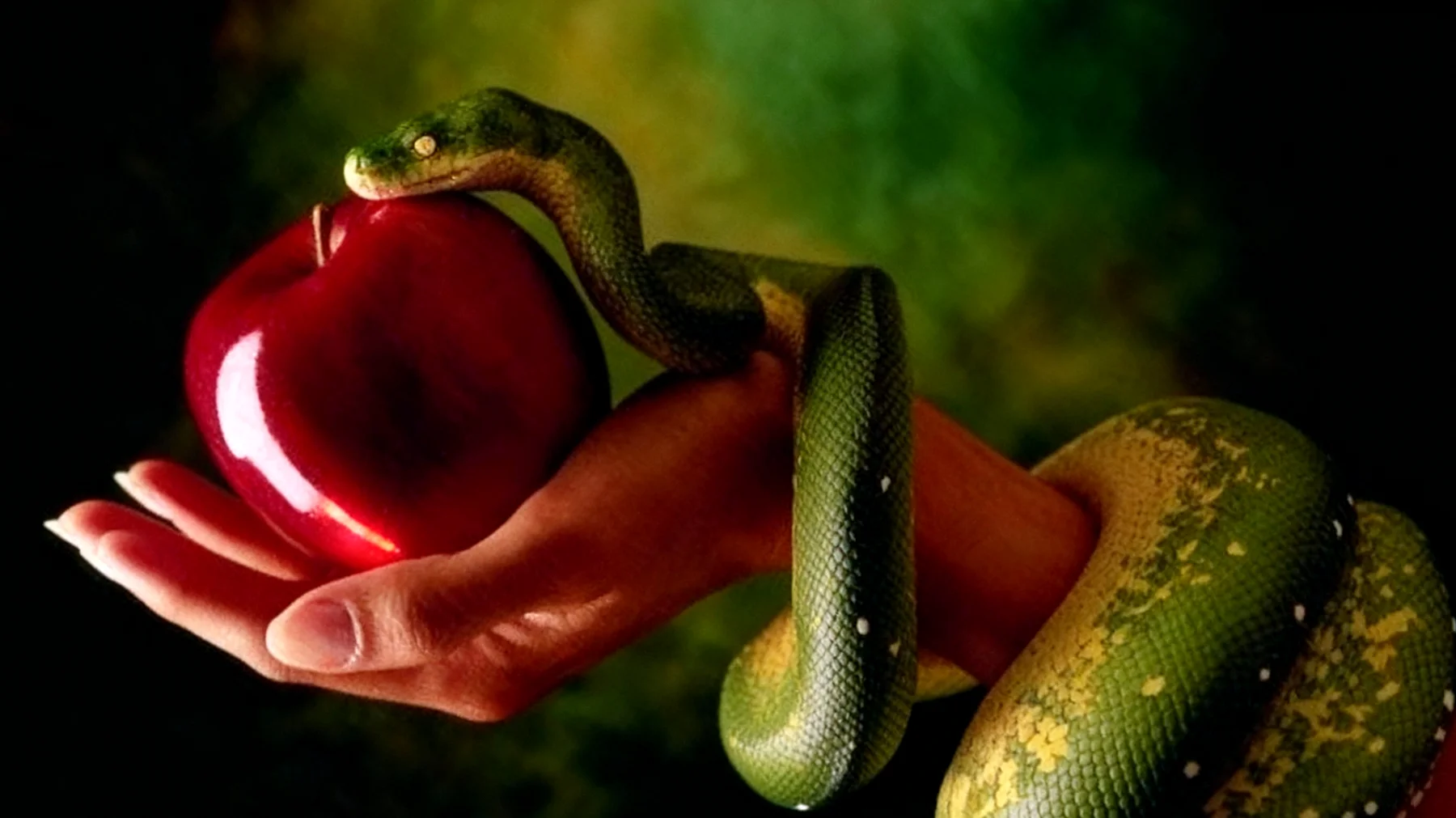 Forbidden Fruit2025-12-30T20:49:56.190Z"