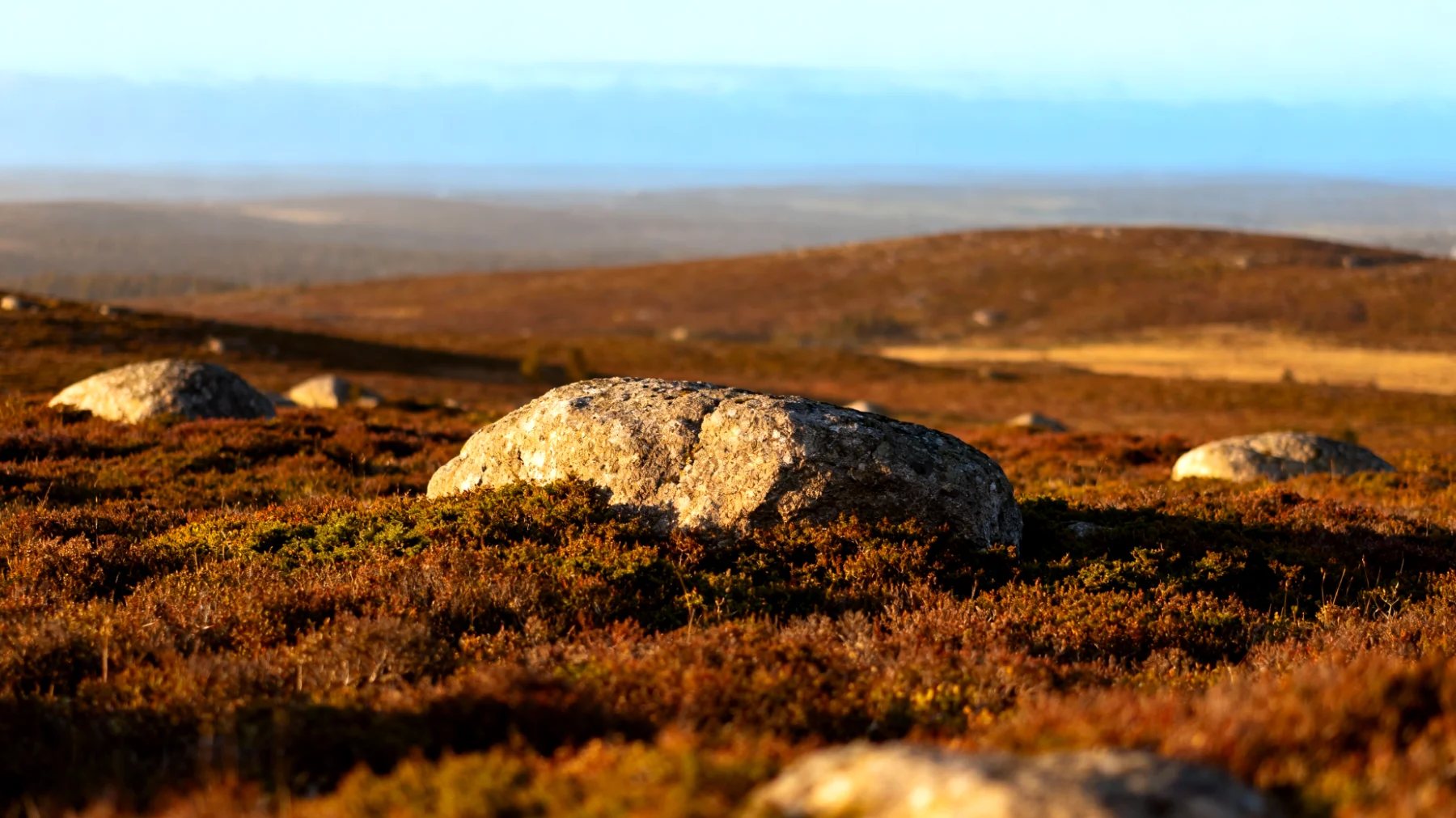 Parco Nazionale di Thy"
