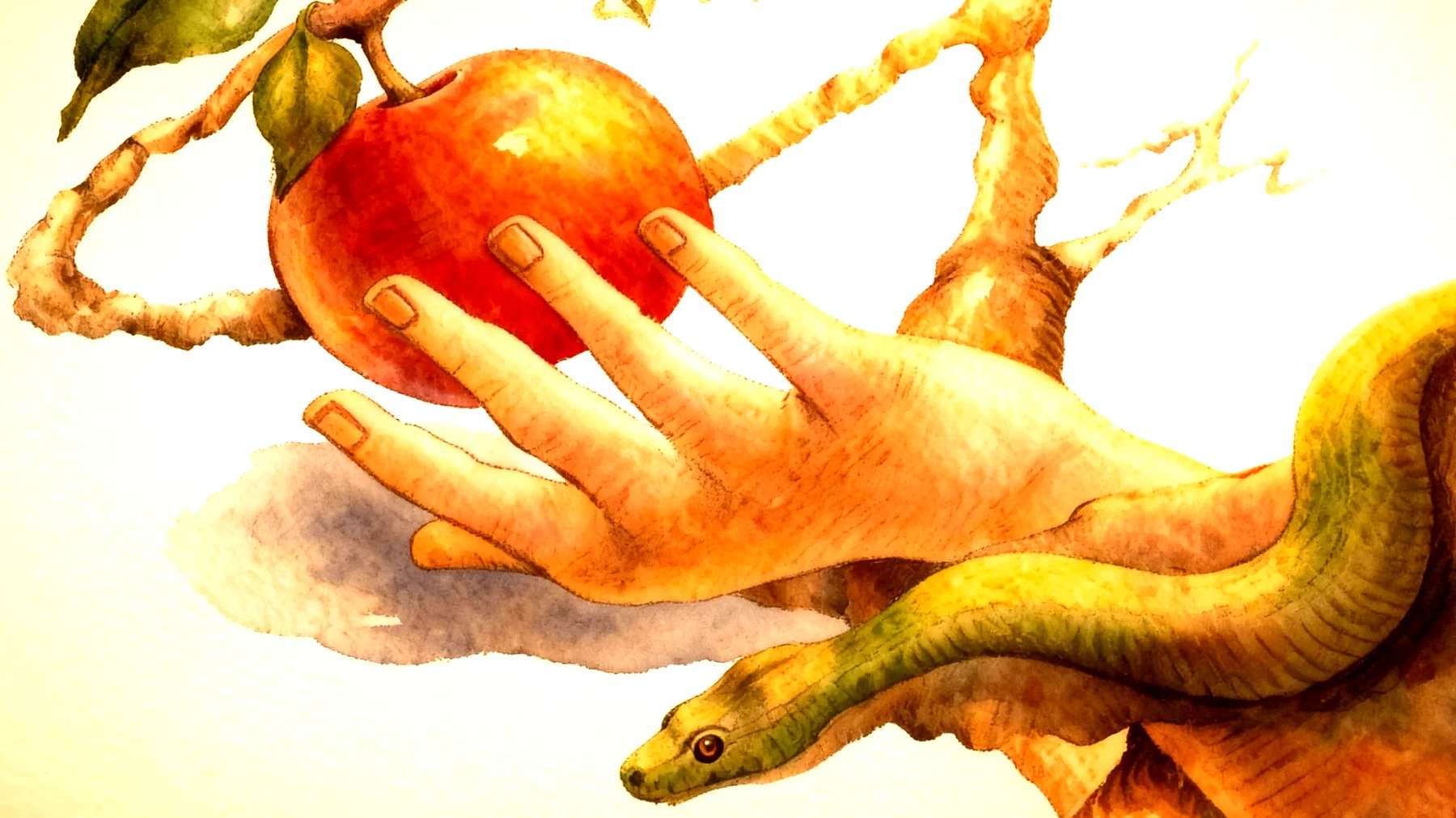 Forbidden Fruit2026-01-04T20:54:56.597Z"