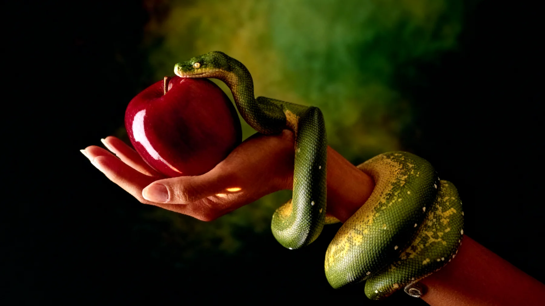 Forbidden Fruit2026-01-07T21:00:54.894Z"